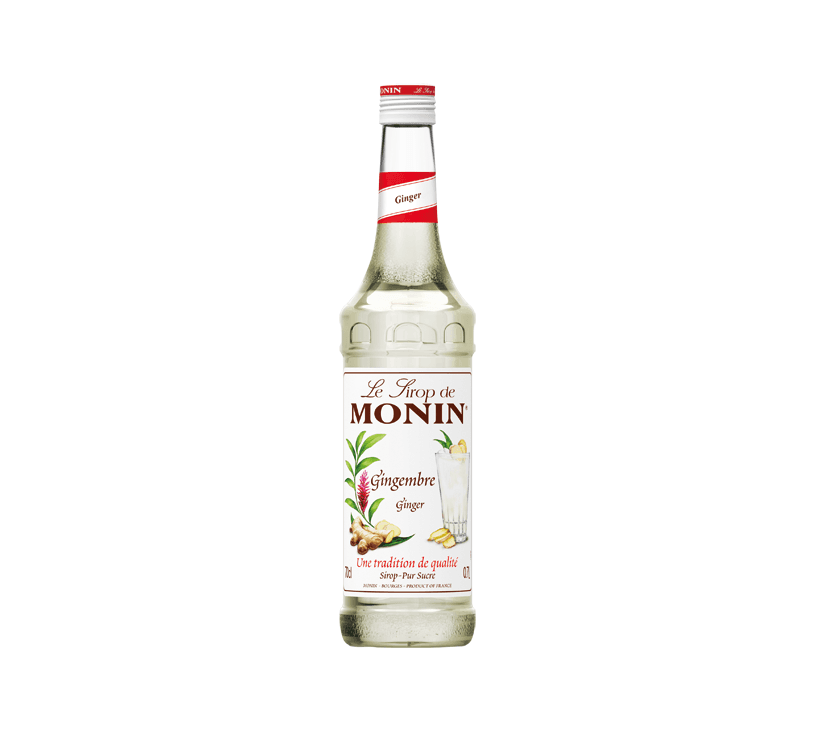 Monin Sirup Ingwer EW